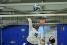 VB vs ENC  Wheaton College Women's Volleyball vs Eastern Nazarene College. - Photo By: KEITH NORDSTROM : Wheaton, volleyball, VB, Eastern Nazarene College